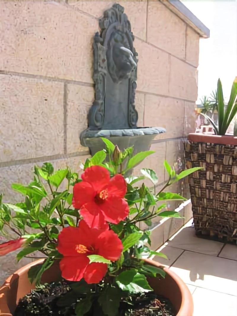 Hotel Garden Viareggio Exterior photo